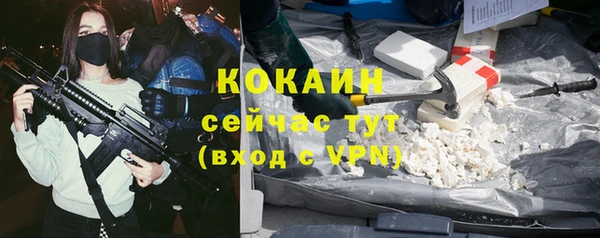 ГАЛЛЮЦИНОГЕННЫЕ ГРИБЫ Арсеньев