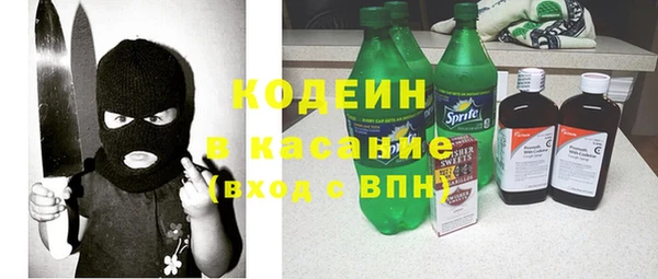 ГАЛЛЮЦИНОГЕННЫЕ ГРИБЫ Арсеньев