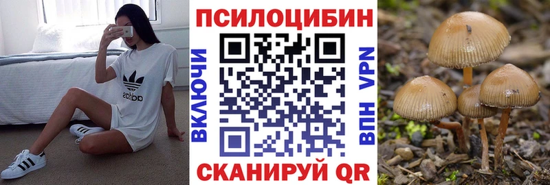 OMG ТОР  Пустошка  Галлюциногенные грибы прущие грибы  купить наркотик 